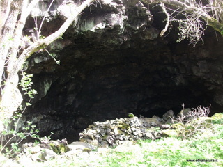 conco di Liricio-24-03-2013 10-21-52
